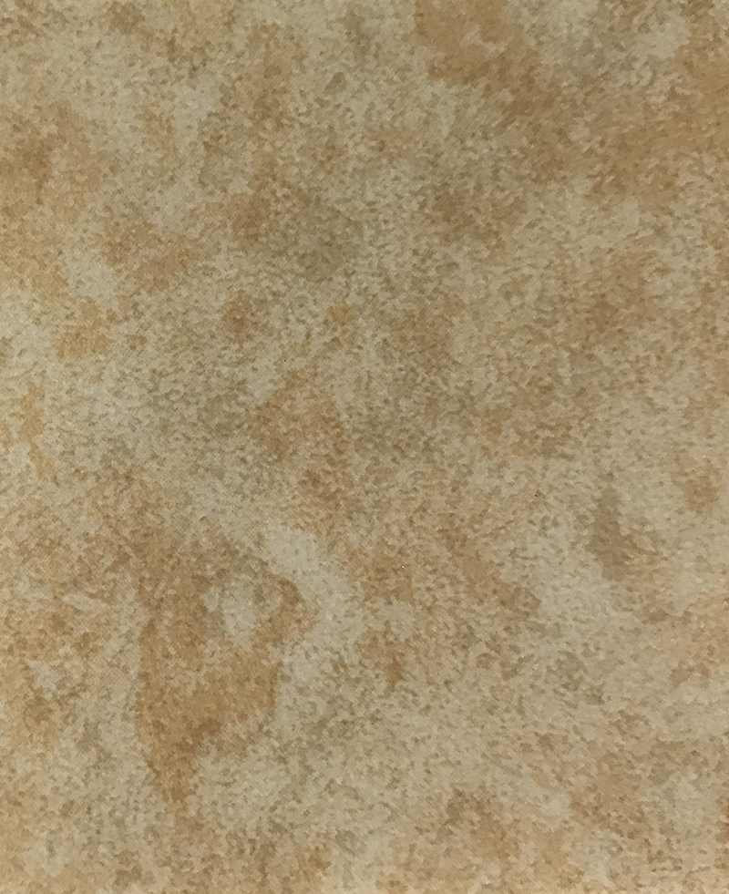 YY-6009.JPG